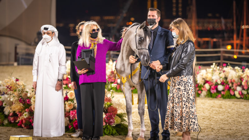 Un poulain de Jadem Arabians primé au Qatar