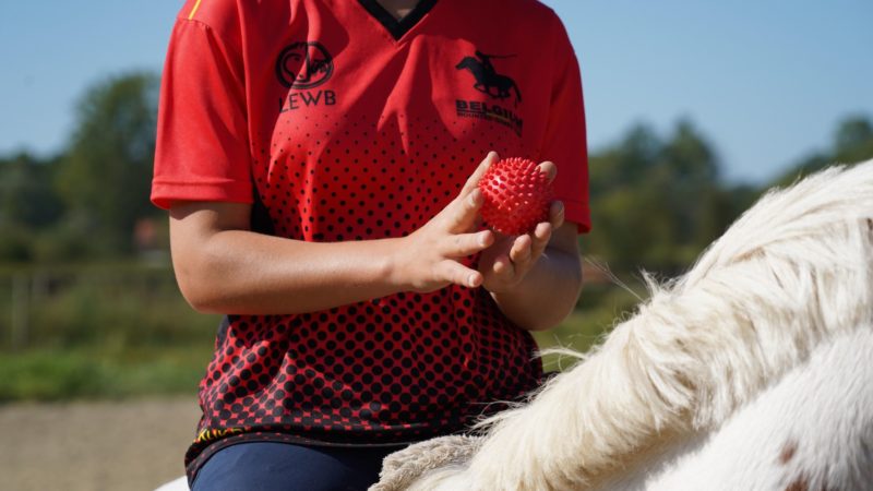 Se connecter au cheval par ses sens