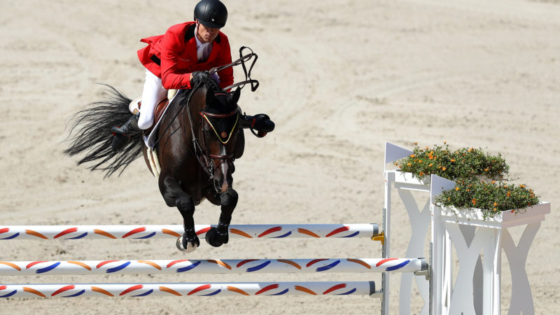 Les chevaux belges se préparent pour Tokyo