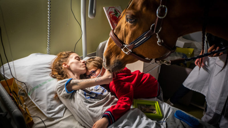 Peyo, cheval thérapeute, mis à l’honneur au World Press Photo