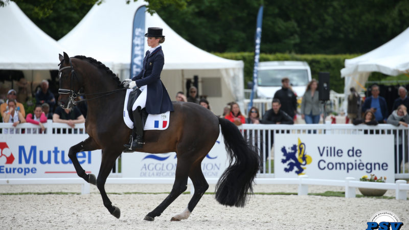 La rhinopneumonie joue les troubles fête dans le dressage européen