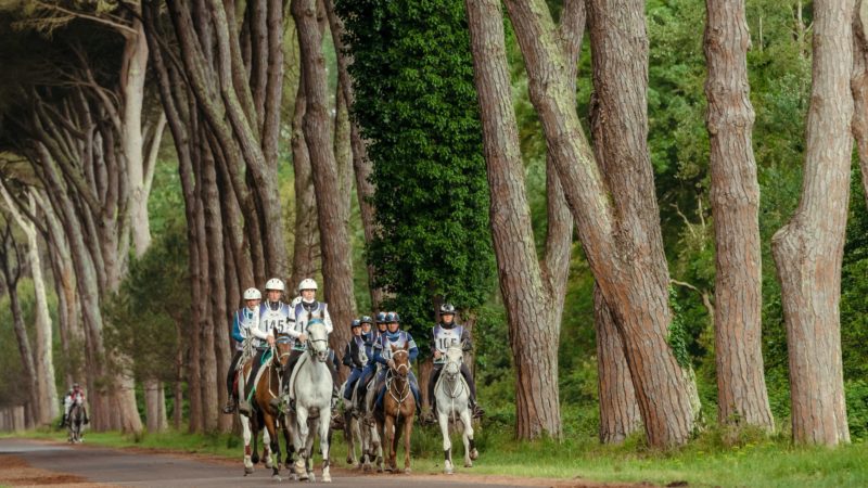 La FEI annule le championnat du monde d’endurance à Vérone !