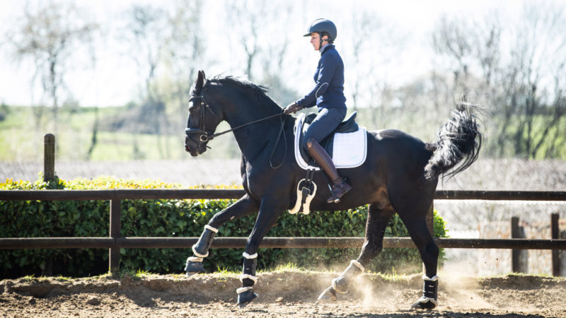 Trois exercices pour travailler les changements de pied au galop