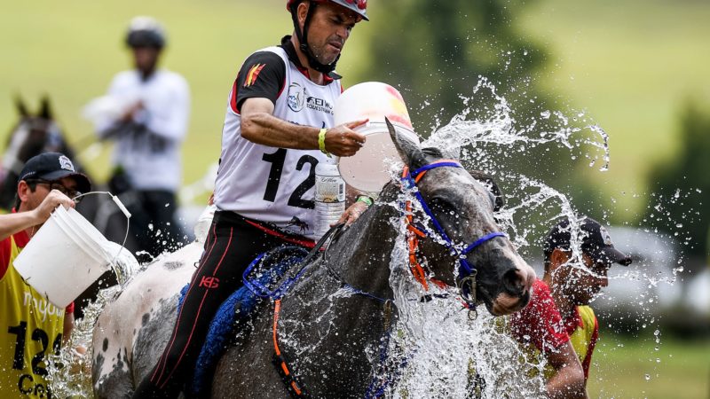 Une absence quasi historique pour l’endurance belge