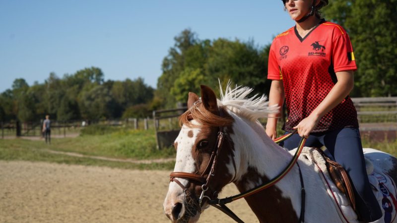 Comment le cheval peut-il vous apprendre à respirer ?