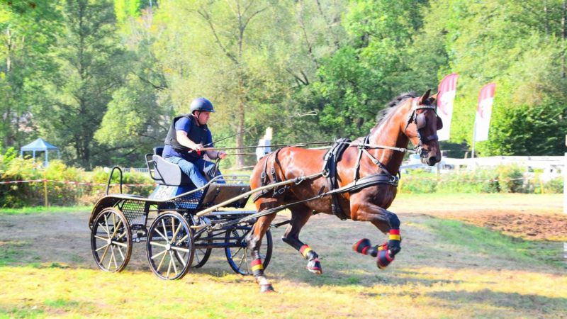 Un premier concours international d’attelage à Aywaille