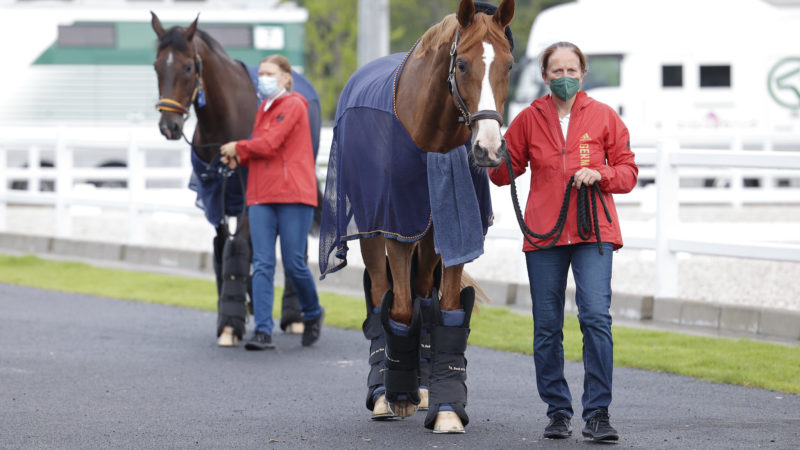 Photos : les premiers chevaux de dressage ont atterri à Tokyo !