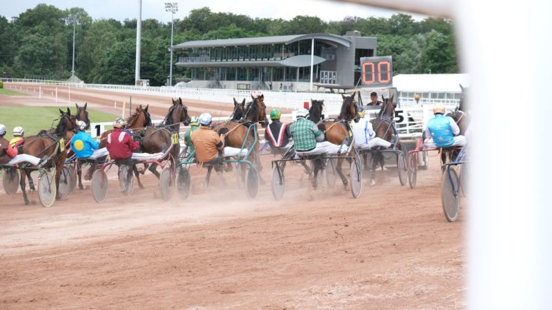 Face Time Bourbon, le champion prêt à reconquérir Mons