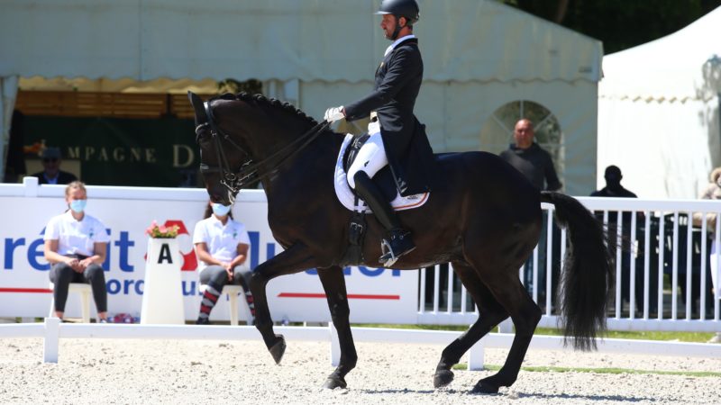 Podiums pour les dresseurs belges à Ermelo et Crozet