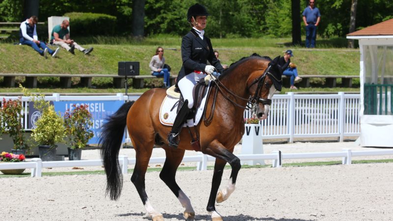 Le dressage belge prêt à écrire l’Histoire aux Jeux