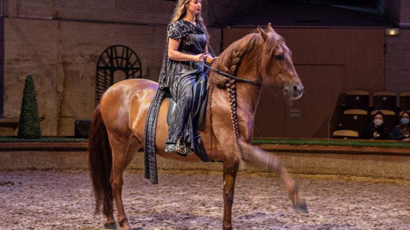 « Du Manège à la Scène » : aperçu du nouveau spectacle à Chantilly