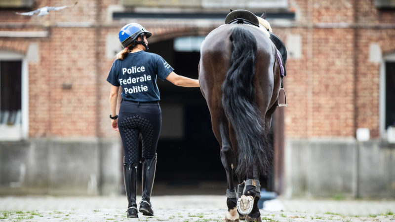 Dans les coulisses de la police à cheval