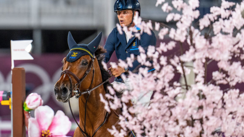Les chevaux belges nombreux et performants aux Jeux olympiques de Tokyo