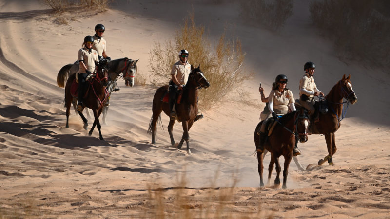 Portfolio : les Gallops of Jordan, 200 kilomètres à cheval dans le désert