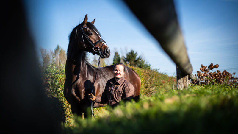 Haras de l’Aube : où naissent de belles histoires