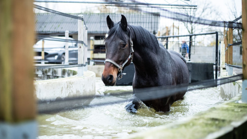 Découverte : les bienfaits du marcheur aquatique