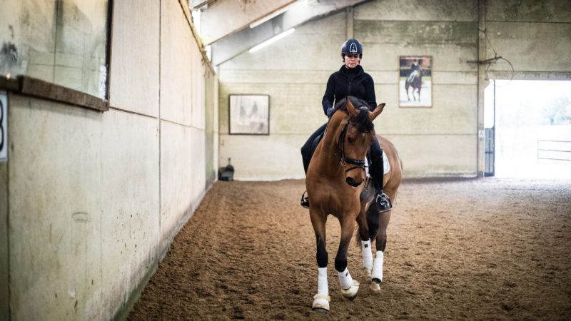 Assouplir son cheval et améliorer ses tracés grâce aux serpentines