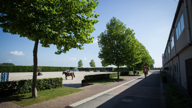 La police à cheval s’installe au Haras de Wisbecq