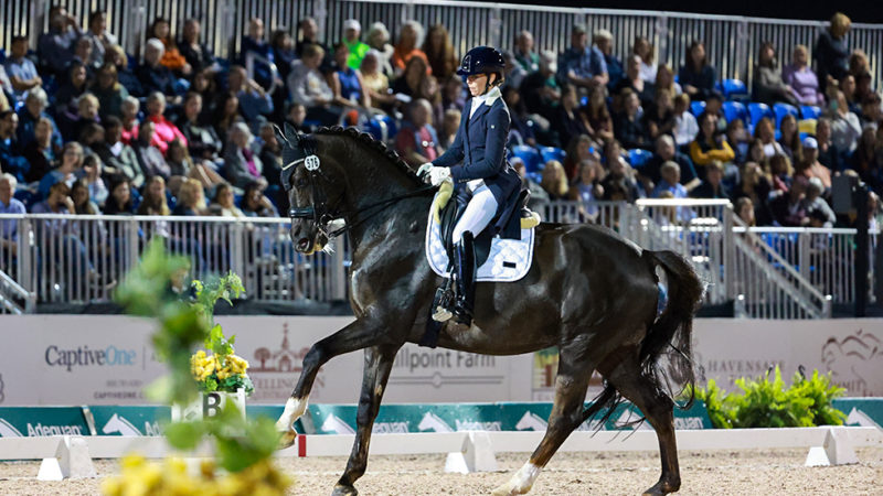 Retour gagnant pour Laurence Vanommeslaghe au CDI 4* de Wellington !