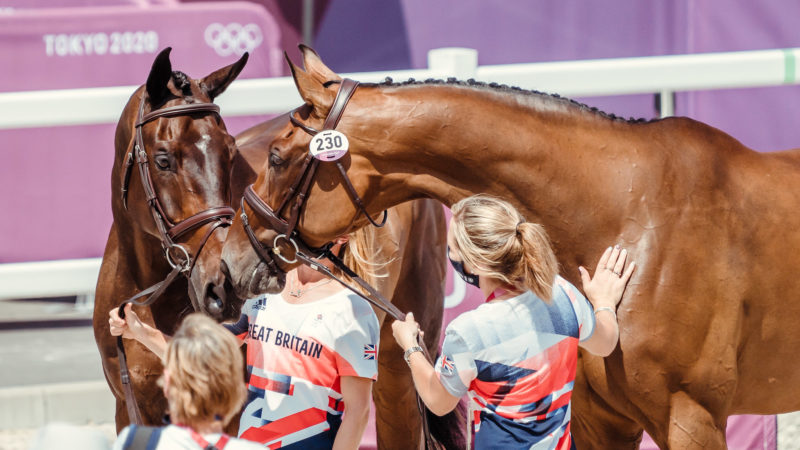 Des critères plus stricts pour le bien-être équin aux Jeux olympiques de Paris ?