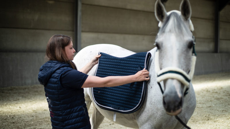 Comment choisir un tapis de selle adapté à son cheval ?