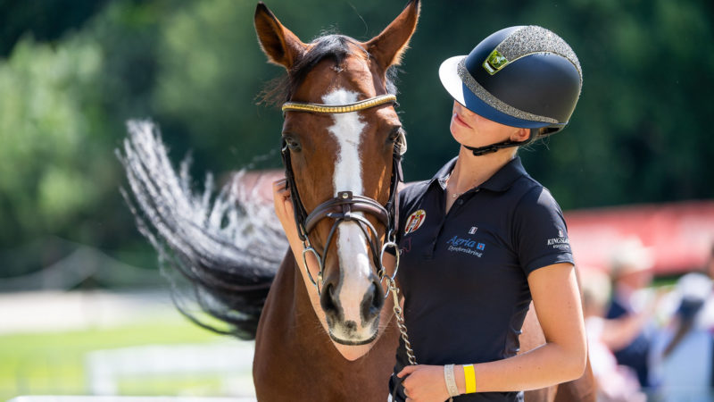 Fixer des objectifs, un indispensable pour progresser avec son cheval !