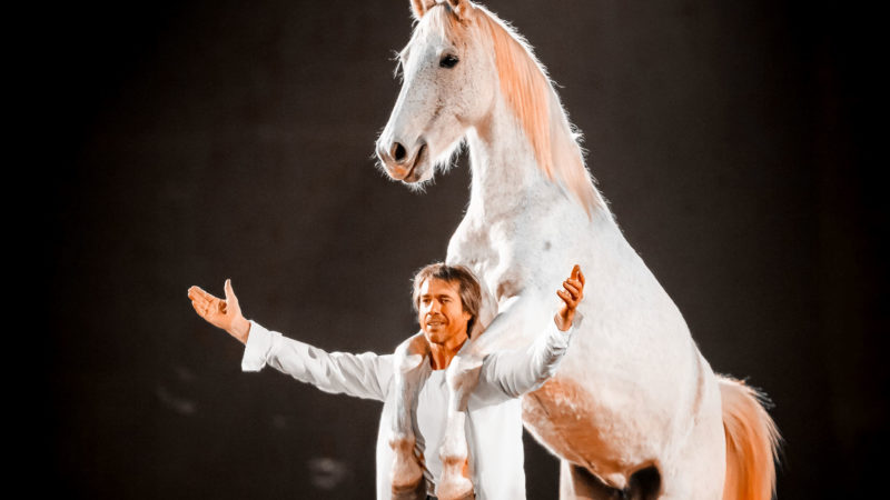 Jean-François Pignon au Jumping de Bordeaux : « Je suis admiratif des cavaliers de compétition »