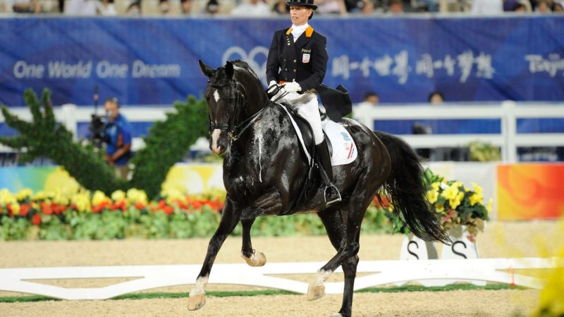 Salinero, double champion olympique de dressage, s’est éteint