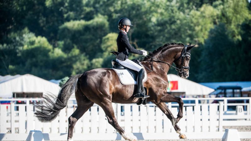 Dressage : 10 astuces pour réussir sa reprise en concours