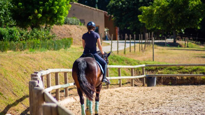 Nouveauté | Appaloo Equestrian, une plateforme pour partager et varier ses séances