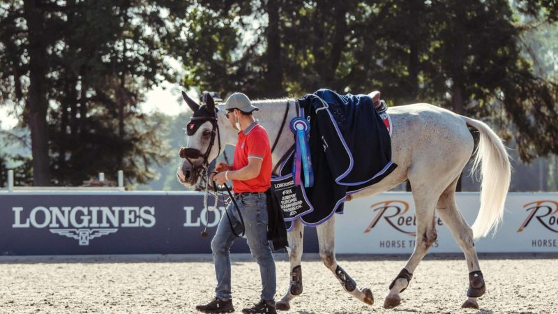 La FEI lance un outil pour donner une voix aux grooms