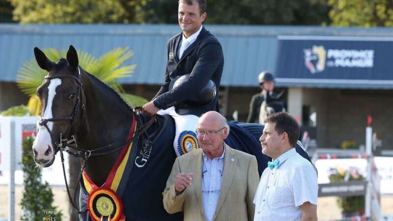 Championnats de Belgique des jeunes chevaux à Gesves : un excellent millésime !