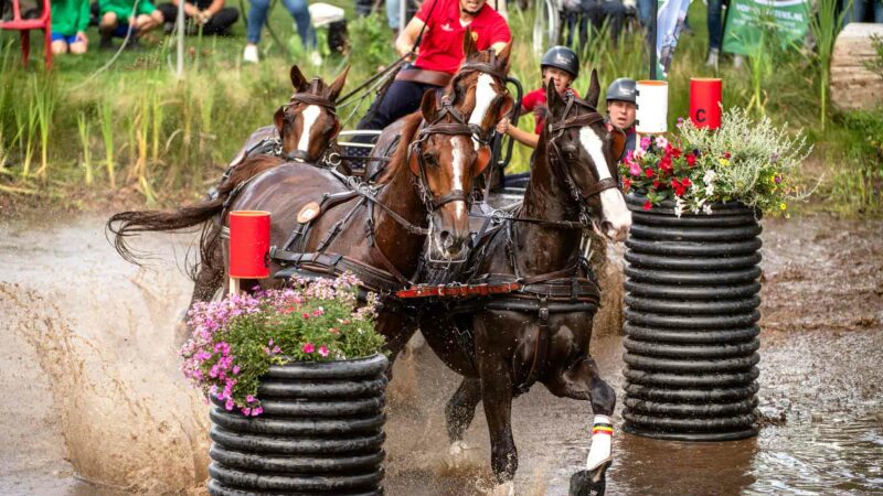 Les meneurs belges sur le podium du championnat d’Europe à Exloo