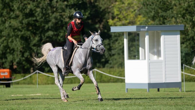 Louna Schuiten : « C’est rare de croiser la route d’un cheval comme Sabah du Courtisot »