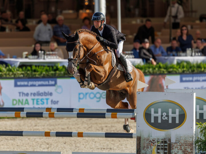 Gilles Thomas nouveau champion de Belgique de jumping!