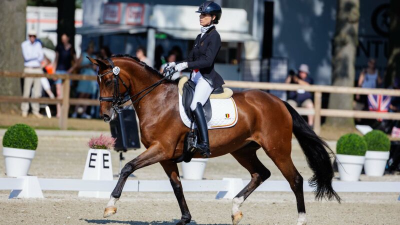 Michèle George et Manon Claeys doublement médaillées au championnat d’Europe de para-dressage