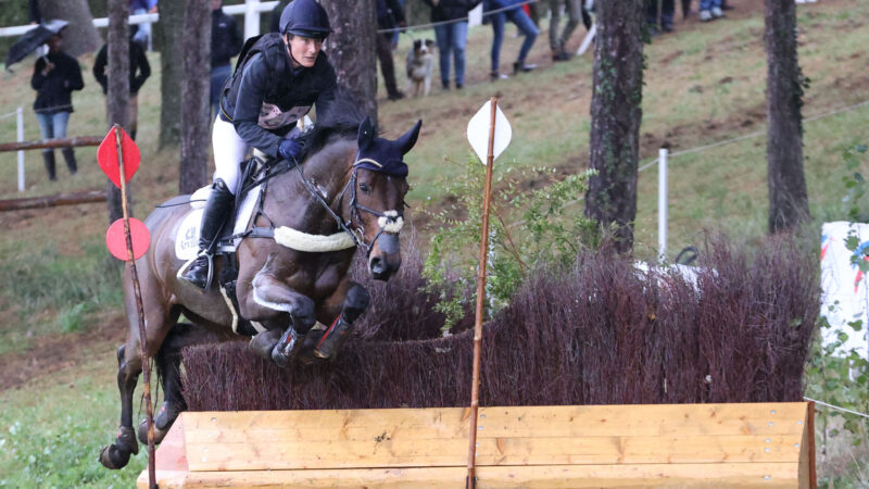 Complet | Lara de Liedekerke-Meier et Kiarado d’Arville vice-champions du monde des 7 ans !