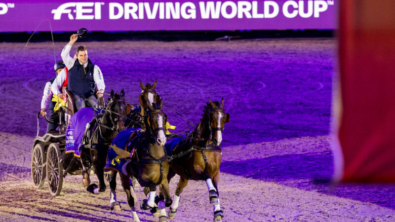 Attelage : Dries Degrieck s’offre sa première victoire en Coupe du monde !