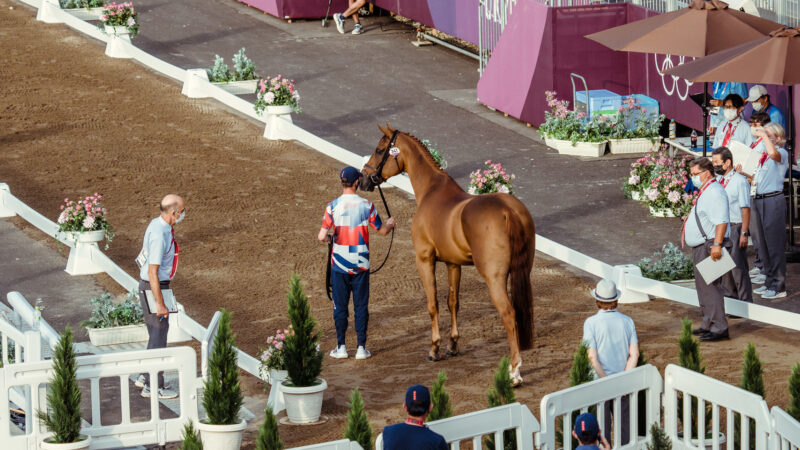 Création d’un « Comité de bien-être animal » au sein de GL events, partenaire des JO 2024