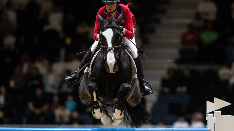 La Finale de la Coupe du monde endeuillée par la mort d’un cheval