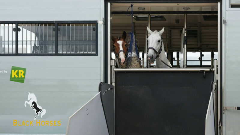 Comment détendre son cheval pendant un transport ?