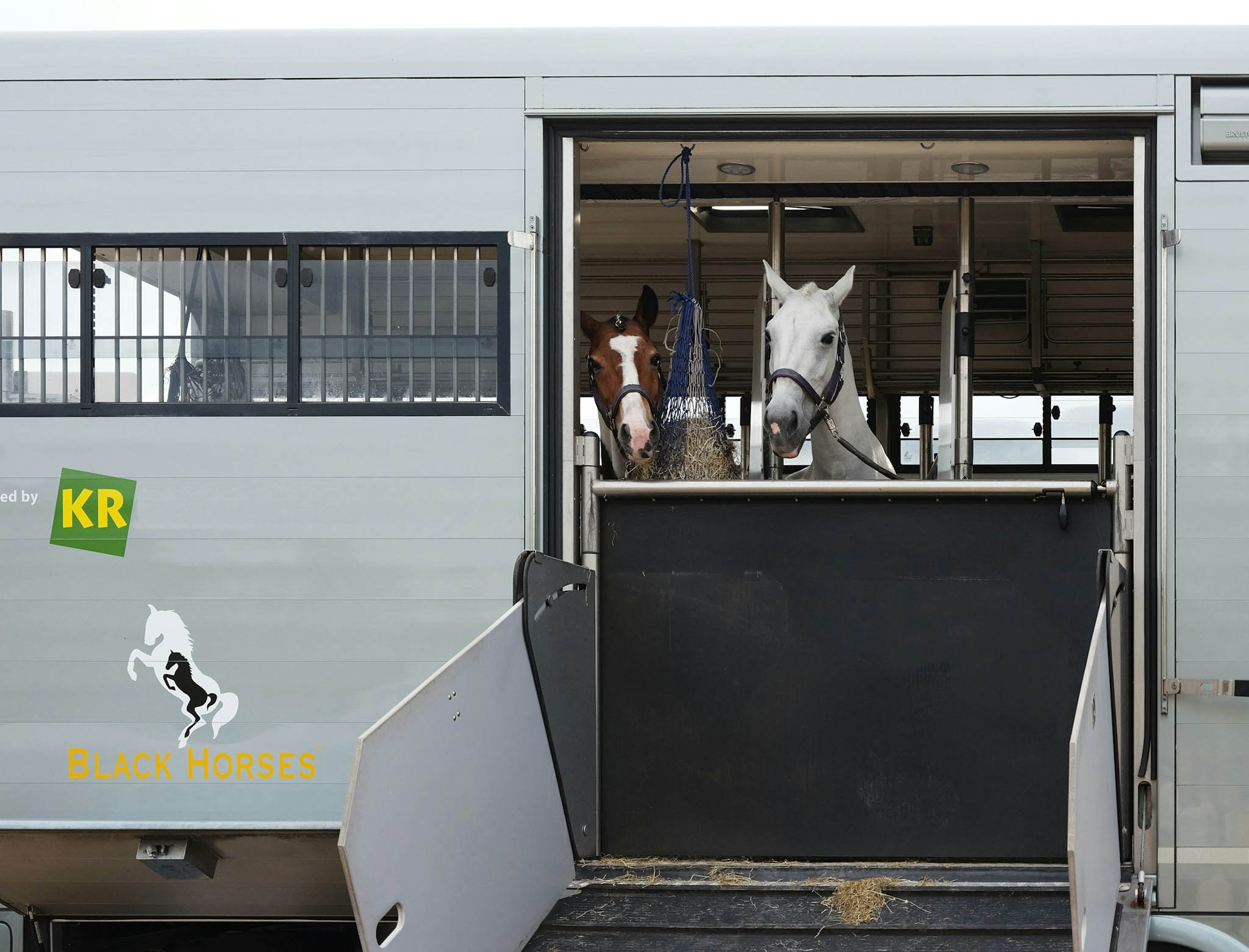 cheval transport